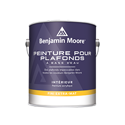 Peinture � plafonds