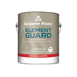 Élément Guard